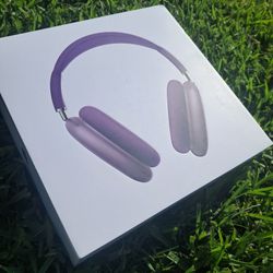 Purple Airpods Max