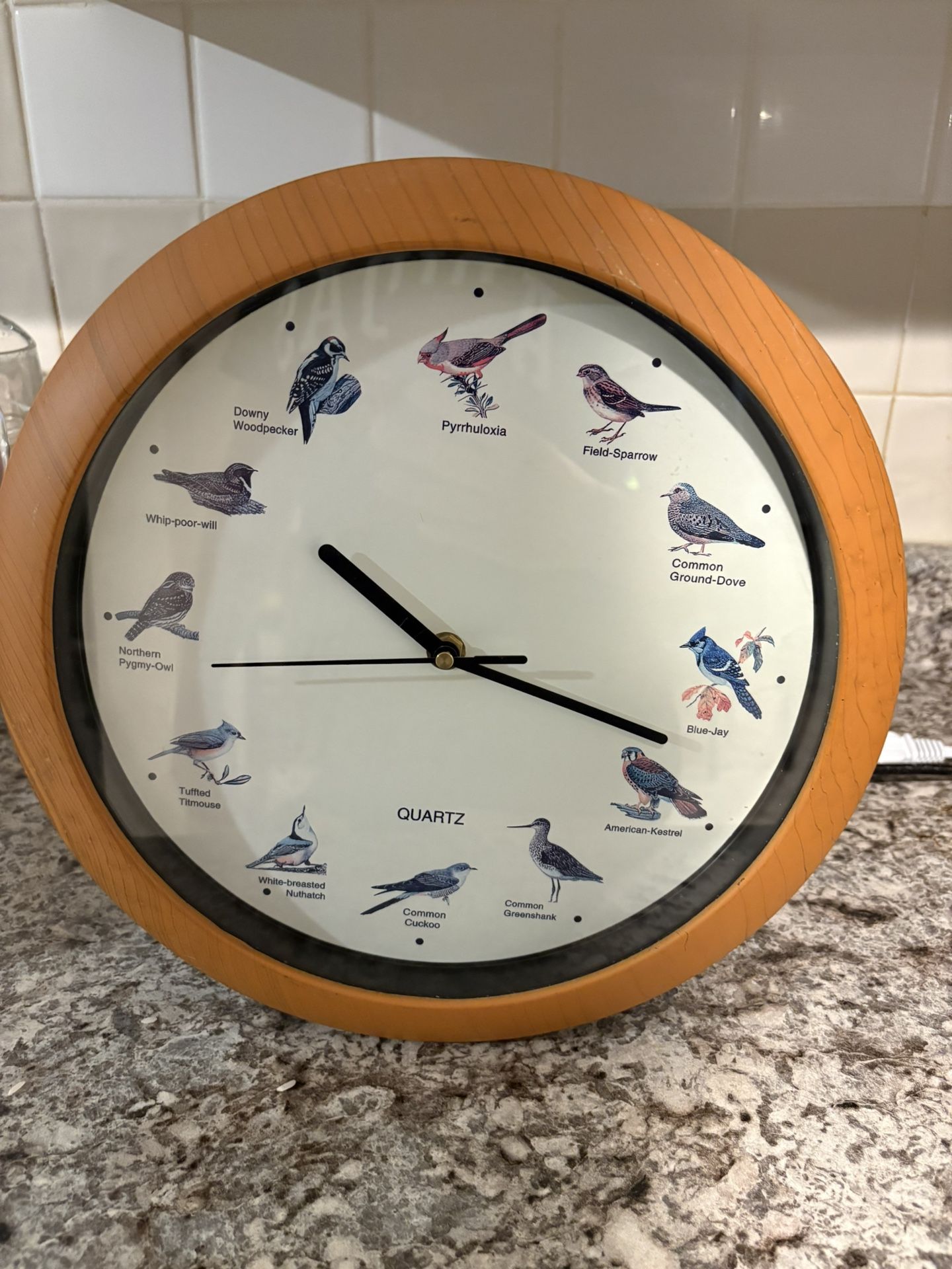 Very rare Clock Bird Sound Clock 12 different birds plays evey hour 12"