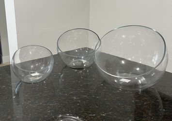 Glass Plant Bowls