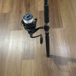 Fishing Rod 