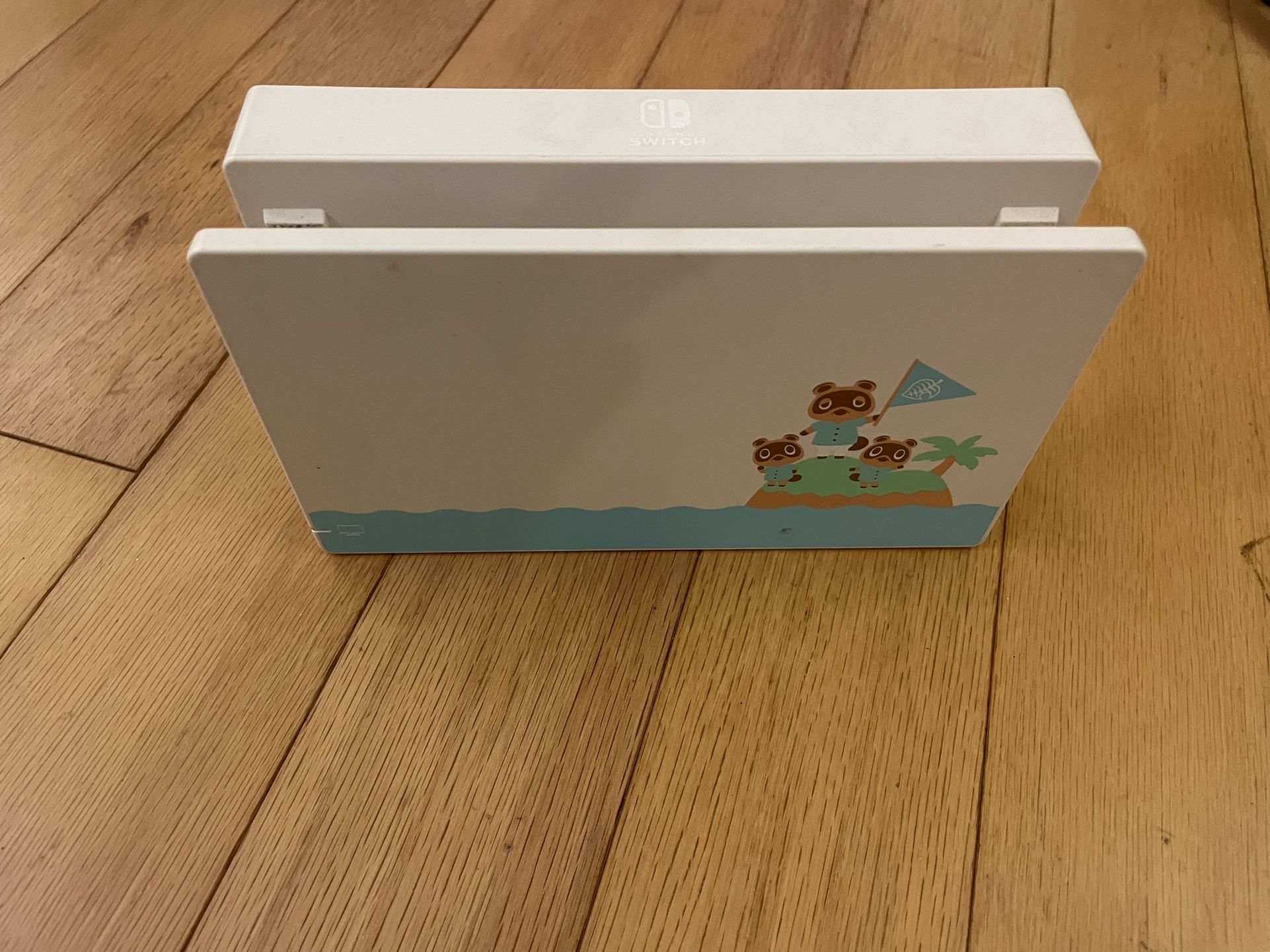 Nintendo Switch Charger