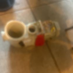 Pentair Pool Motor 