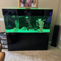 125 Gallon Acrylic Fish Aquarium