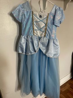 Cinderella Princess Costume