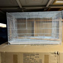 Bird Cage