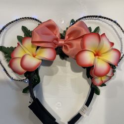Disney Ears 
