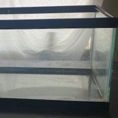 20 Gallon Fish  Lizard Turtle Rat Guinea Pig Glass Ceramic Container for Pets Tank 