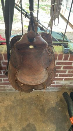 Saddle