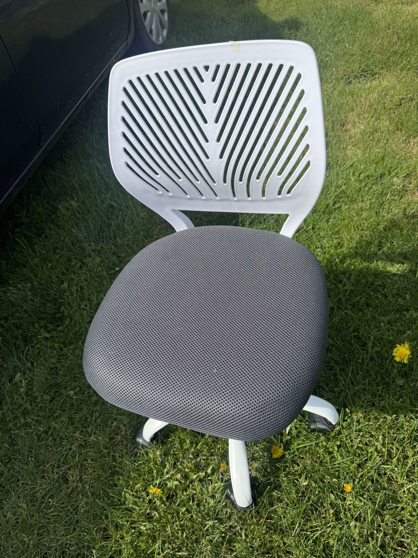 Desk Adjustable Chair