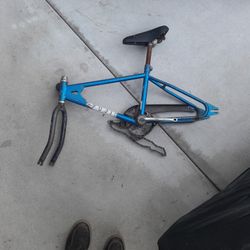 1979 Fuji BMX Bicycle Old School