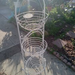 Friut Basket 