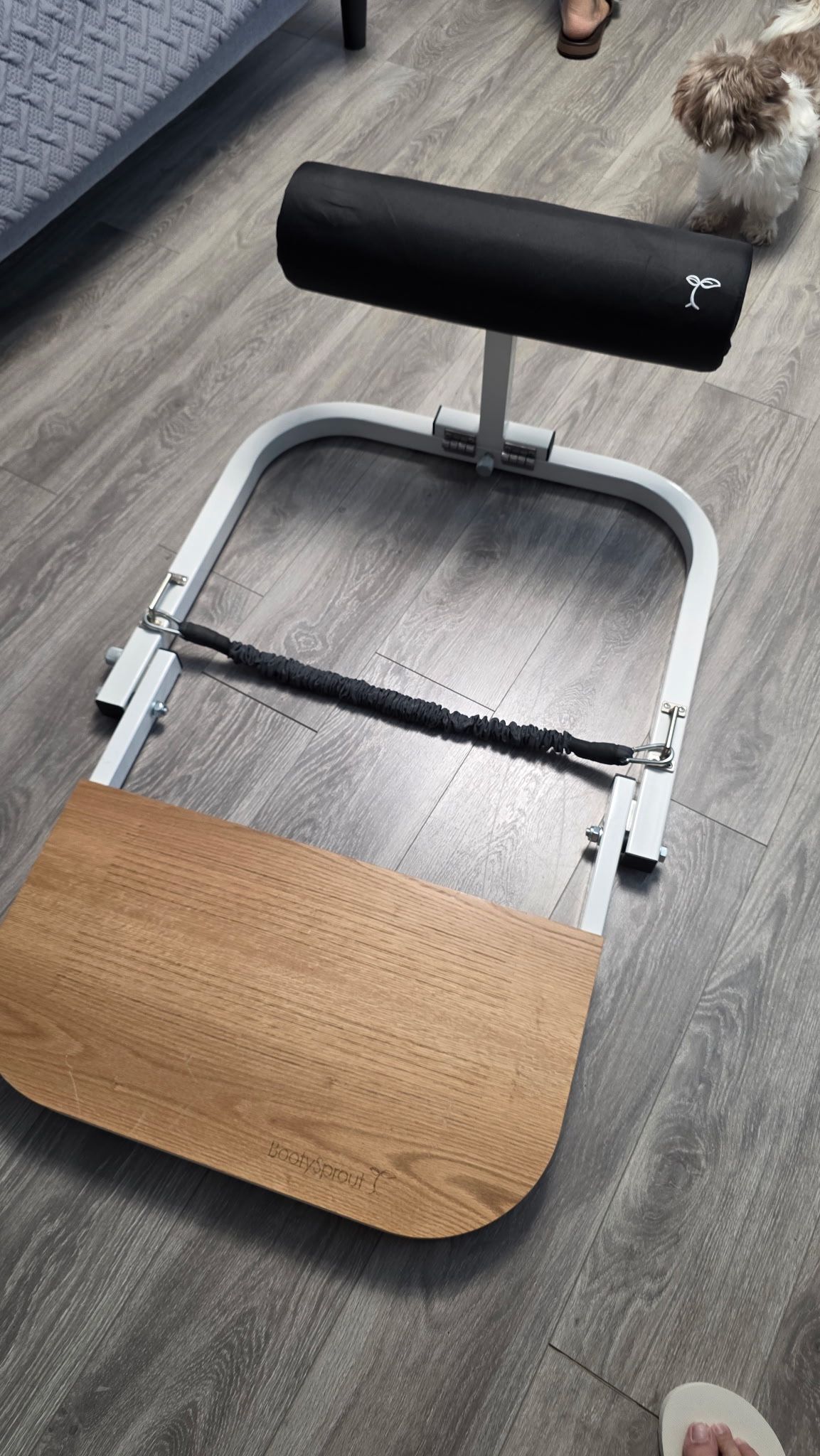BootySprout Hip Thrust Machine for High Resistance Glute Training - Home Gym Workout,