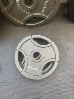 Fitness Gear Olympic 45lb and 25lb Cast Plates