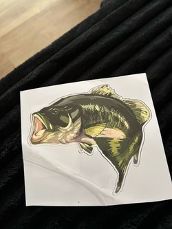 Largemouth bass