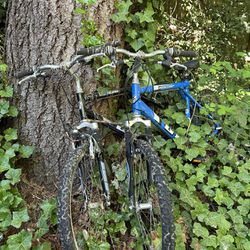 2 Adult Mountain Bikes 