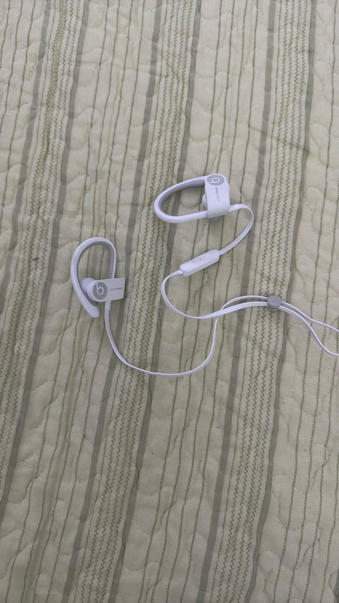 Powerbeats Earphones