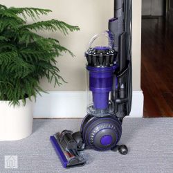 Dyson Ball Animal 2