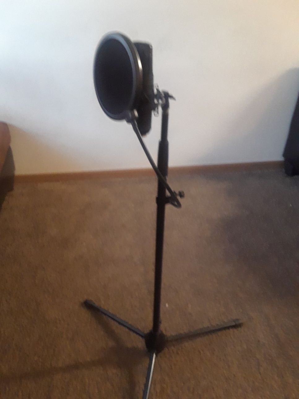 Recording mic with adjustable stand