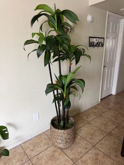 LARGE 6ft Artificial Plant Tree Faux Tropical Dracaena in Woven Basket Home Decor