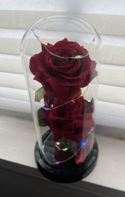 Everlasting Rose