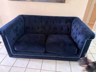 Navy Blue Velvet Tufted Loveseat