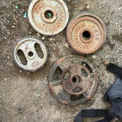 Weighted Plates SHOOT ME AN OFFER