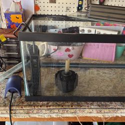 20 Gallon Long Fish Tank Full Setup 
