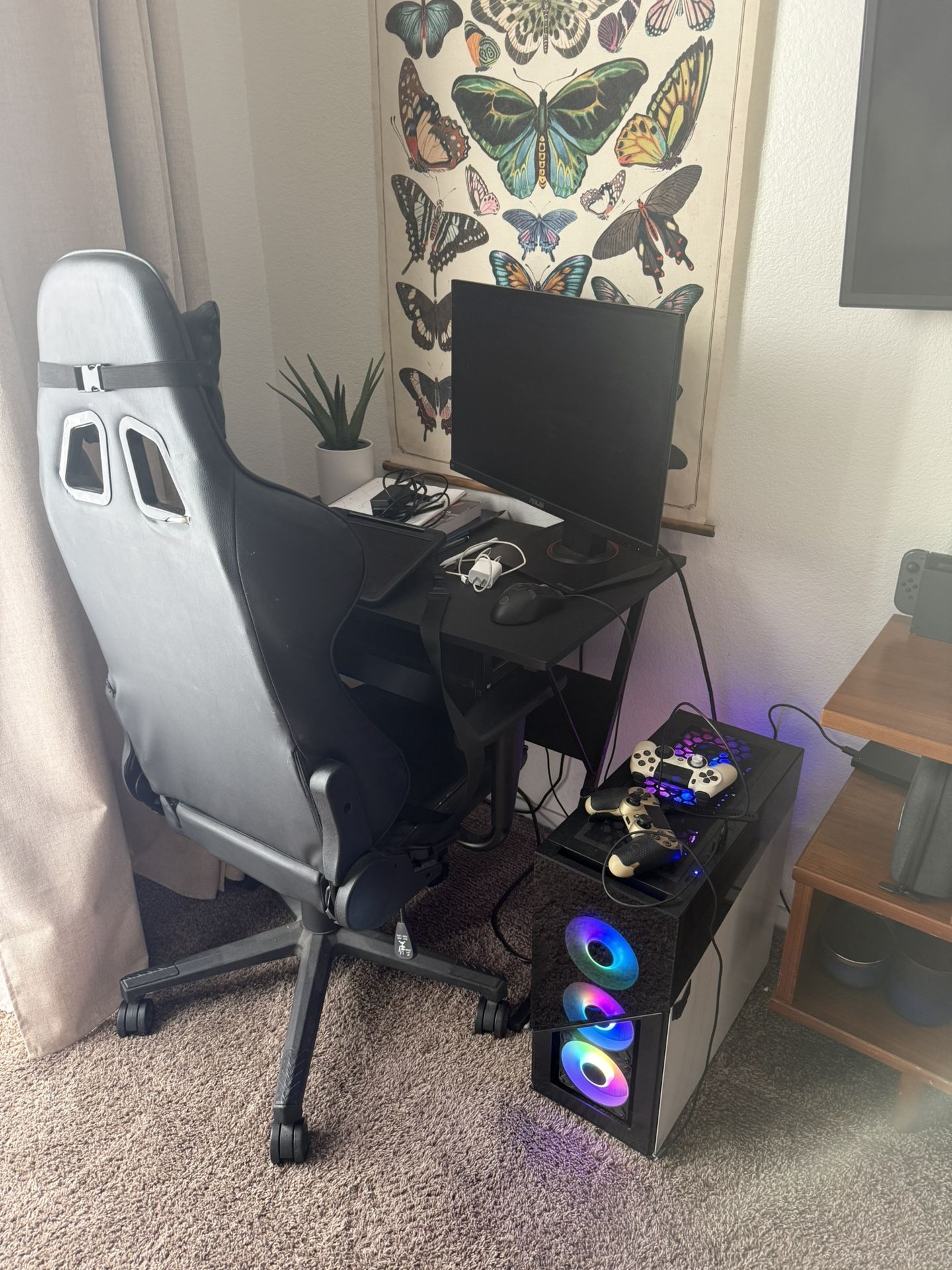 Gaming Computer &Setup