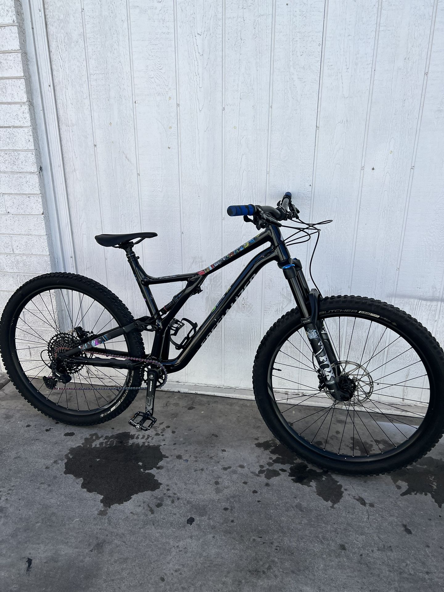 Specialized Stumpjumper 2019 Mountain Bike