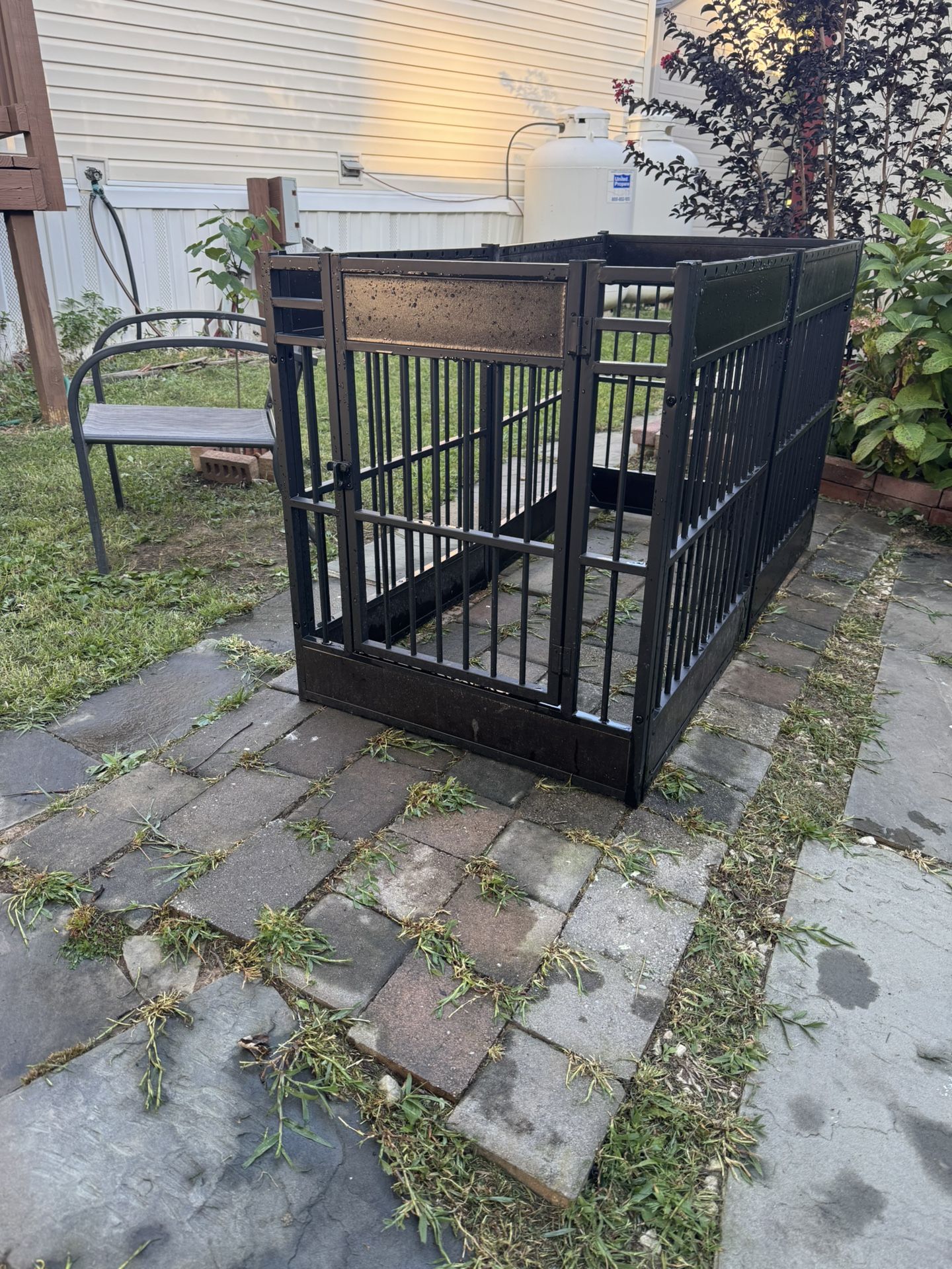 Dog Cage 4 Sale Semi New $50 Firm On Price