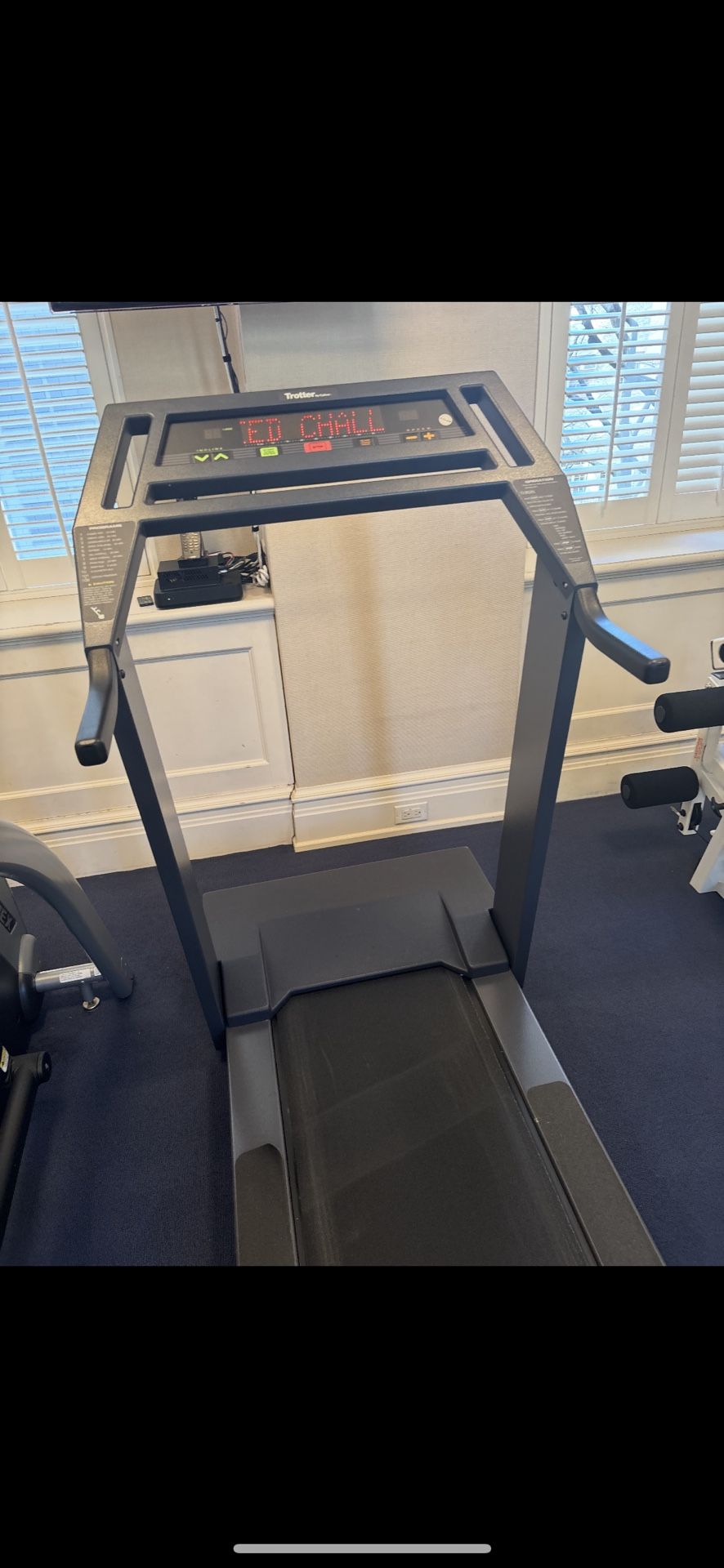 Trotter treadmill