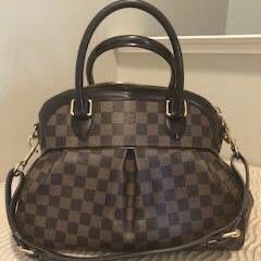 Louis Vuitton Bag Trevi PM Authentic Real 