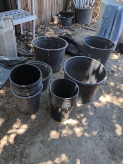 Variety of garden pots
