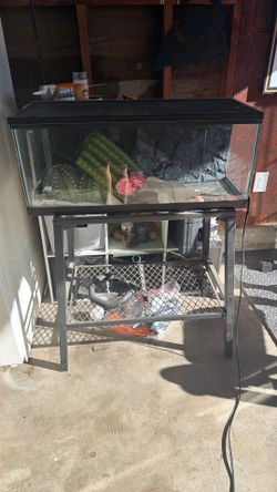 Reptile terrarium