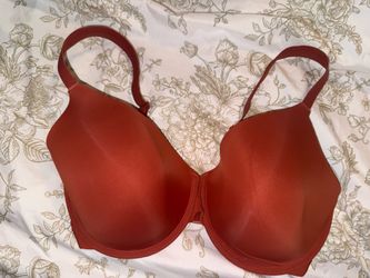 36G Modern Movement burnt orange bra