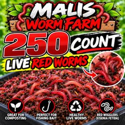 Malis Worm Farm 250 Count Live Red Worms