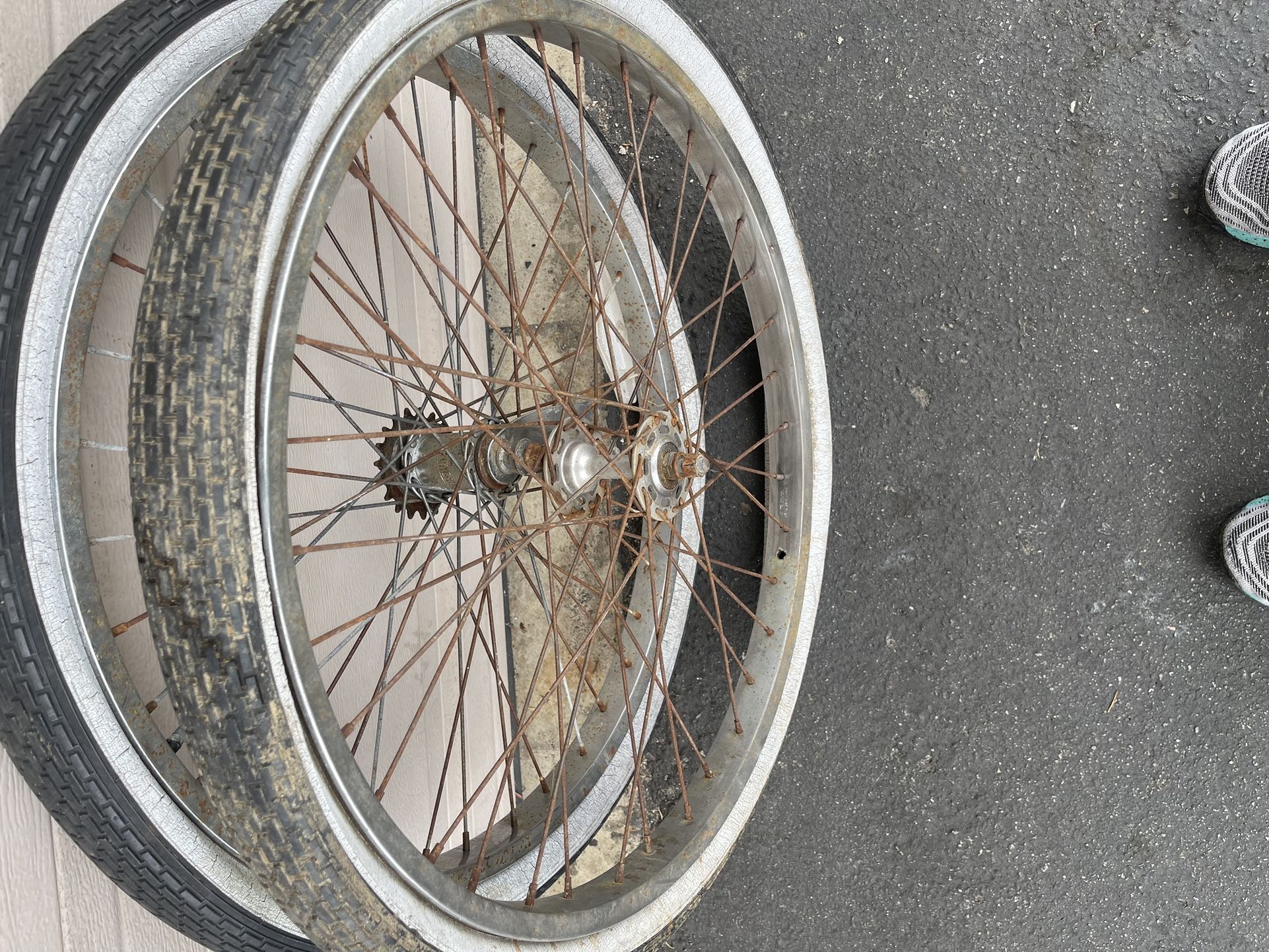 26” Araya Wheels