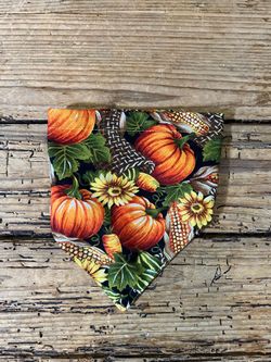 Fall Themed Pet Bandana