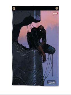 Primitive x Moebius Spiderman Banner