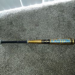 Easton Baseball Bat 32 In