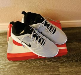Nike Tanjun Men’s Sneakers – Wolf Grey / White Size 13 