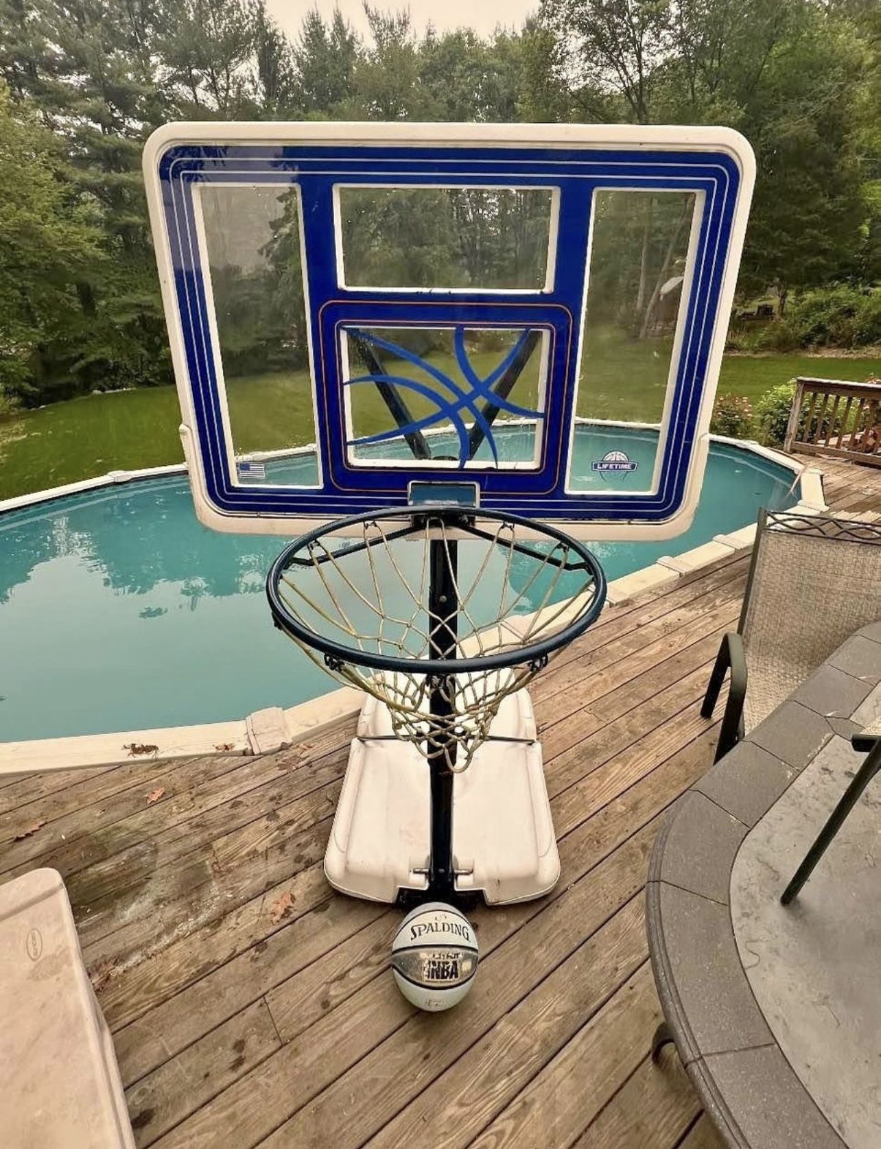 pool basketball hoop and ball