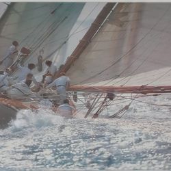 Americas Cup Race Photo