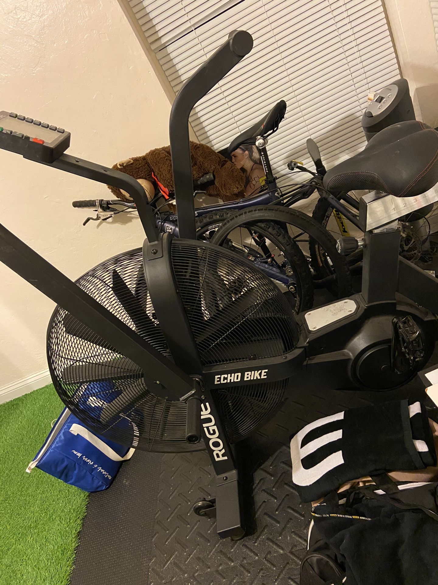 rogue echo bike sale