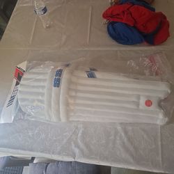 SS cricket batting knee guards