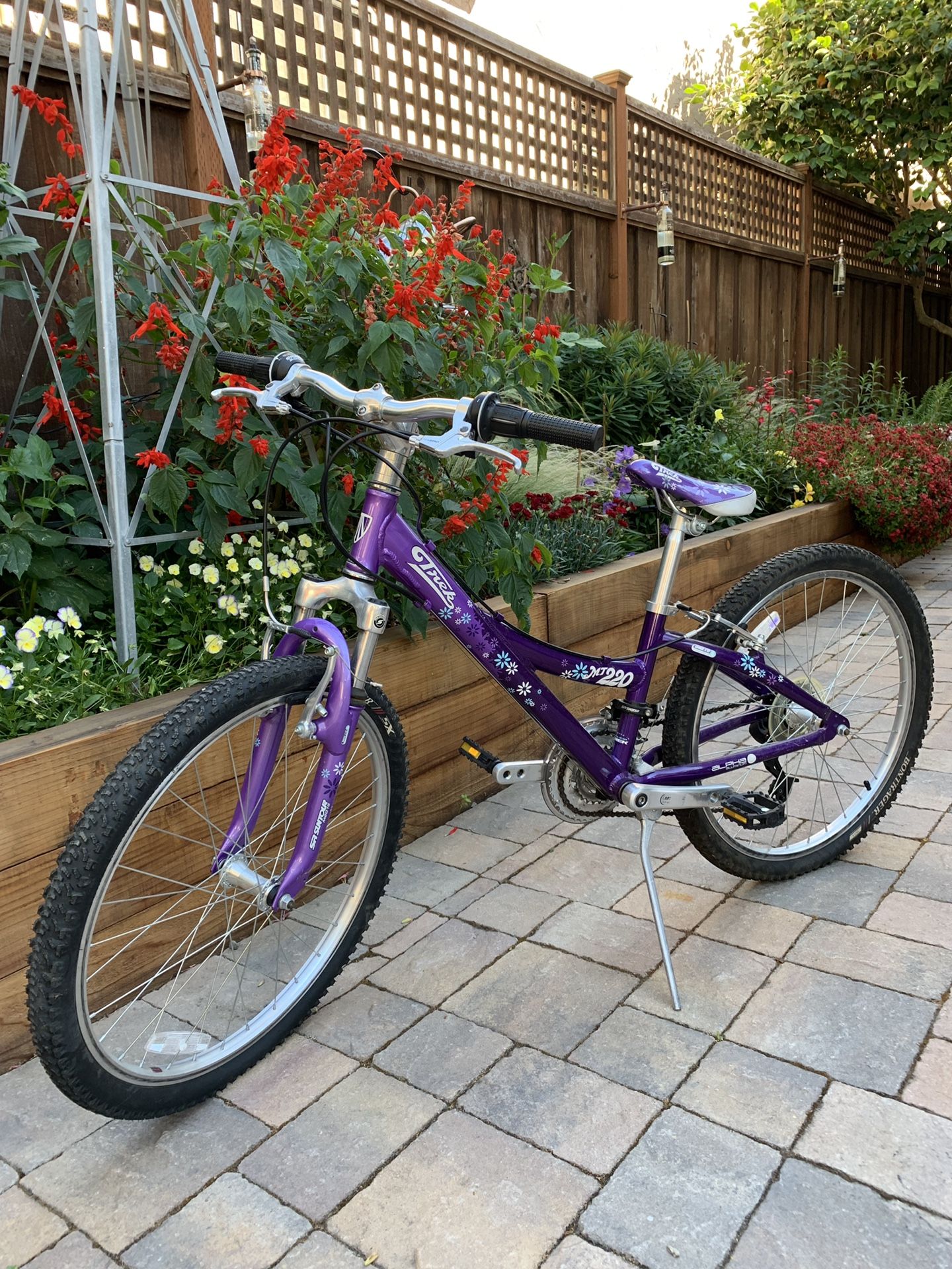 Girls Trek 10 speed bike