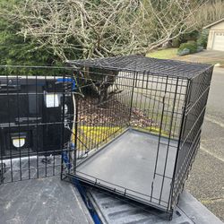 Large Medium Dog Kennel Crate Collapsible in Good Condition 36” L by W 22” H “24