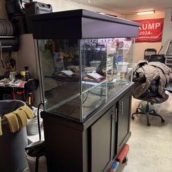 75 Gallon Fish Tank 