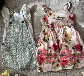 Toddler Girl Clothes Size 3T