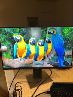 24in Dell Monitor P2419H Full HD 1920 x 1080 HDMI VGA DP 8 ms 16:9 Widescreen